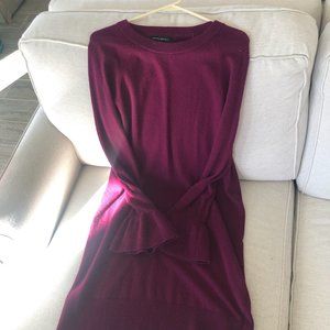 Banana Republic Sweater Dress Cranberry Fun Sleeve